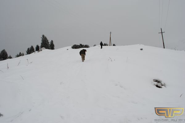 А Edward побежал за ним А Edward побежал за ним